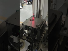 दो-स्टेशन स्वीपर मोटर बाहरी रोटर वर्टिकल डबल-प्लेन स्वचालित संतुलन मशीन